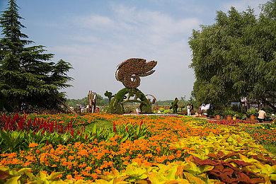 《艾尔登法环》“海贼王”Mod分享 褪色者变身路飞